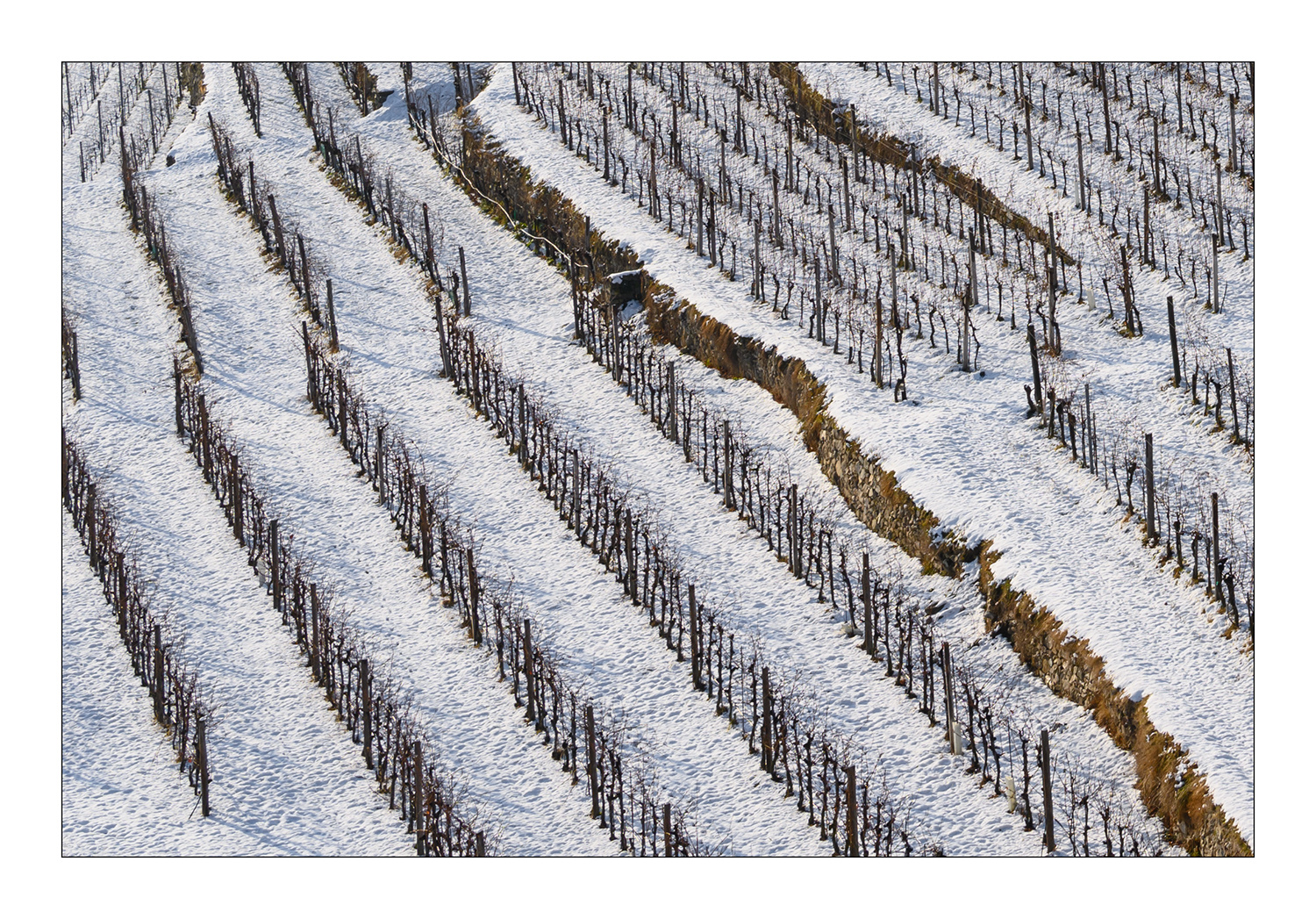 Wachau (2)