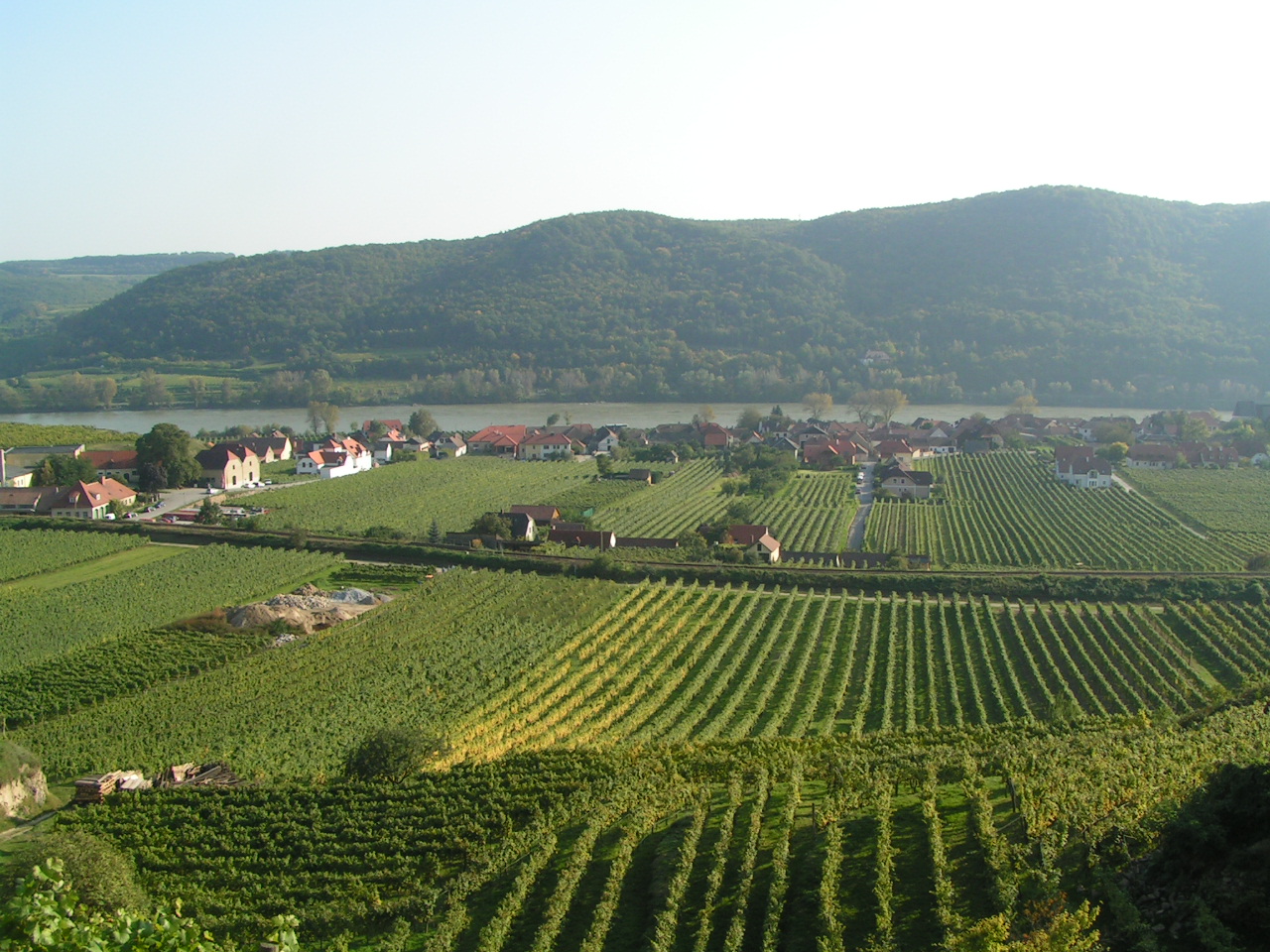 Wachau 2003