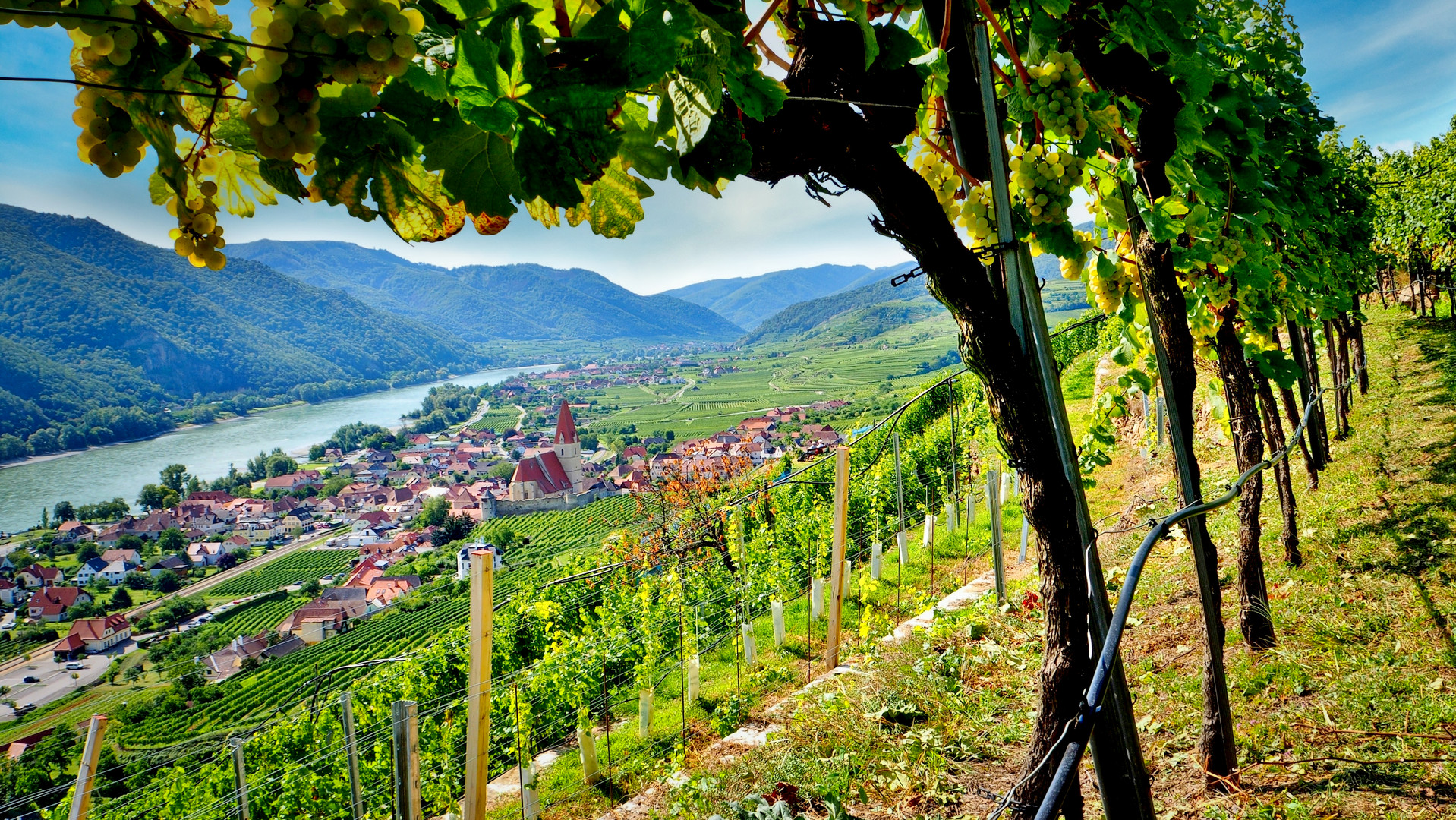 Wachau