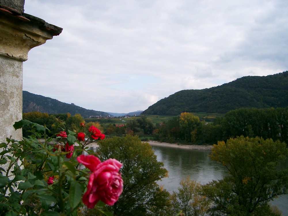 Wachau