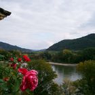 Wachau