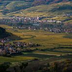 Wachau