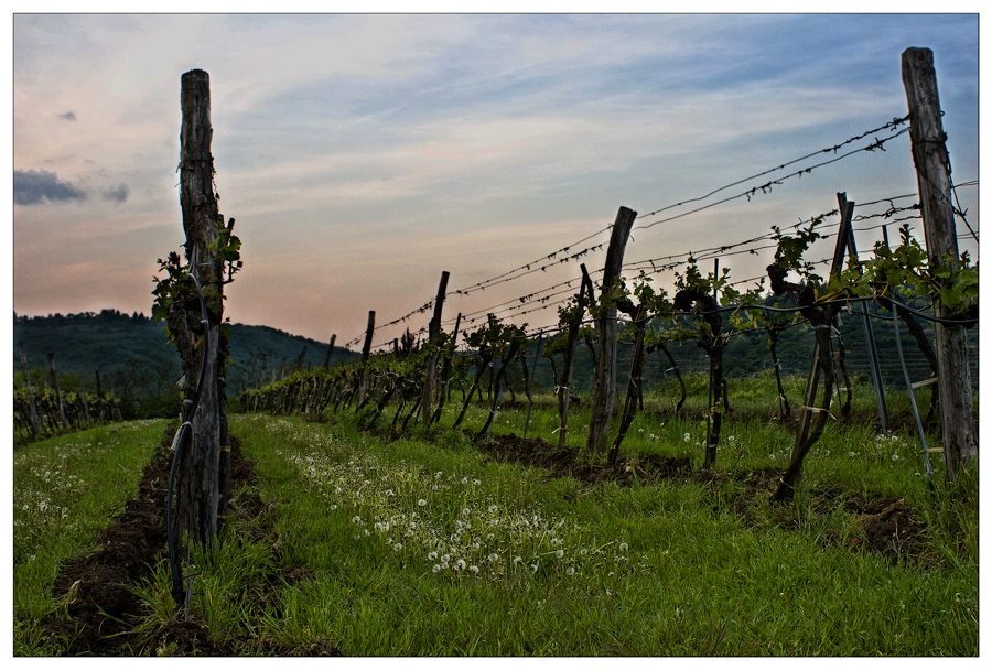 Wachau