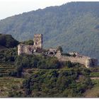 Wachau