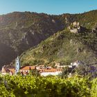 Wachau Dürnstein