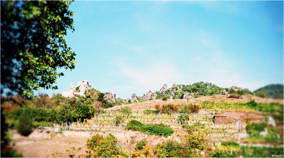 Wachau