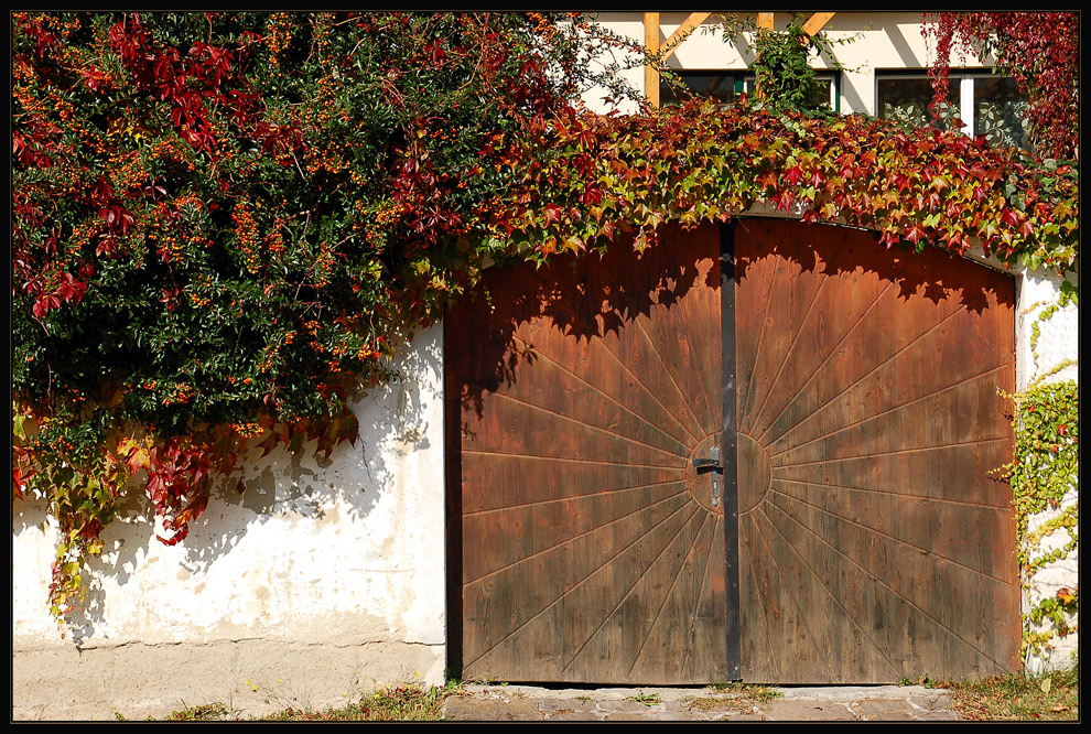 Wachau - Herbst --2