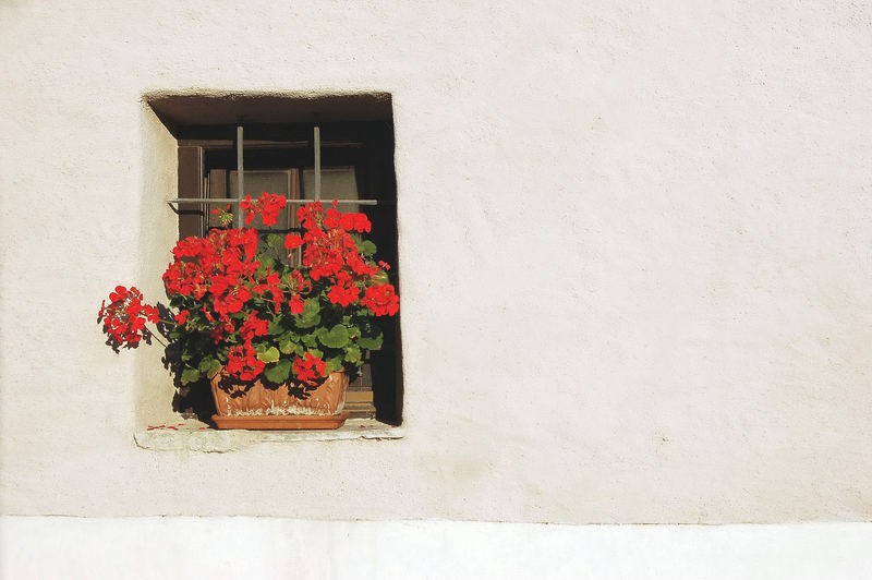 Wachau-Impressionen