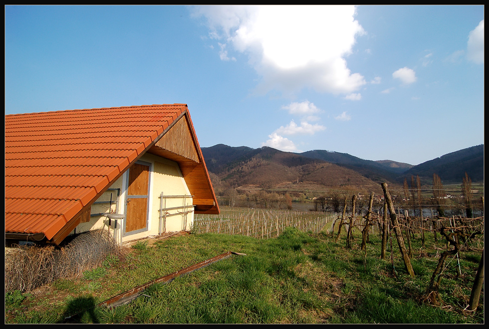 Wachau-Impressionen #9