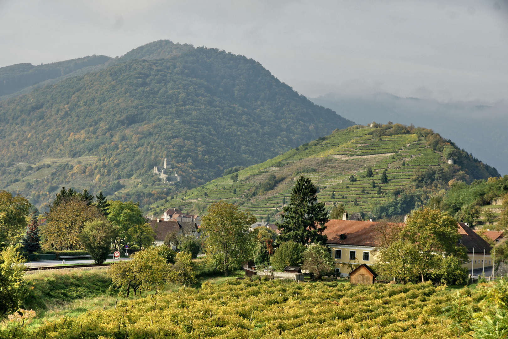 Wachau - Spitz mit der Ruine Hinterhaus