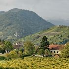 Wachau - Spitz mit der Ruine Hinterhaus