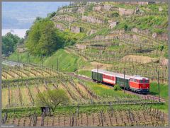 Wachauer Frühling 1