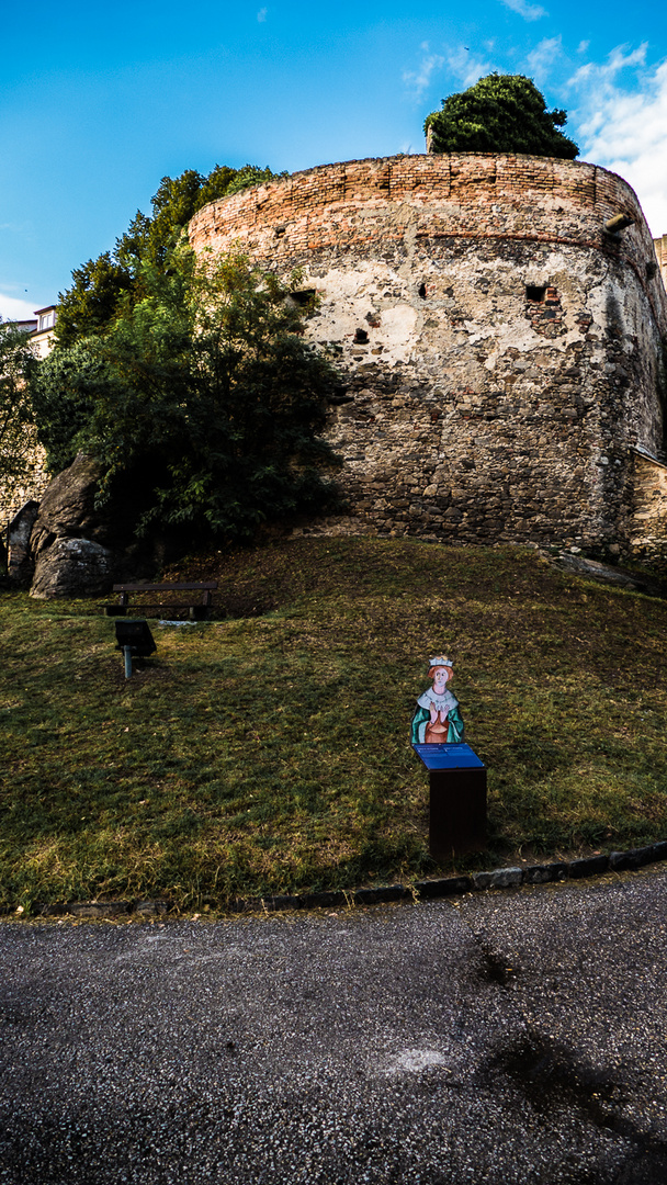 Wachauer Impressionen - Dürnstein (11)