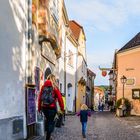 Wachauer Impressionen - Dürnstein (4)