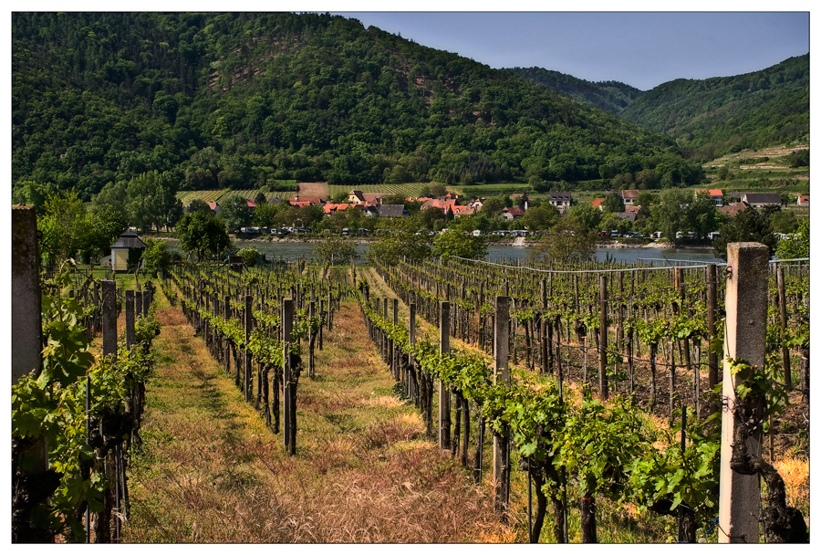 Wachaulandschaft