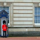 Wache vor dem Buckingham Palace in London
