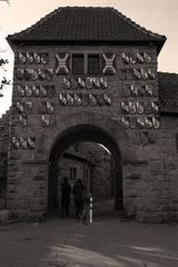 Wachenburg, Weinheim (6)