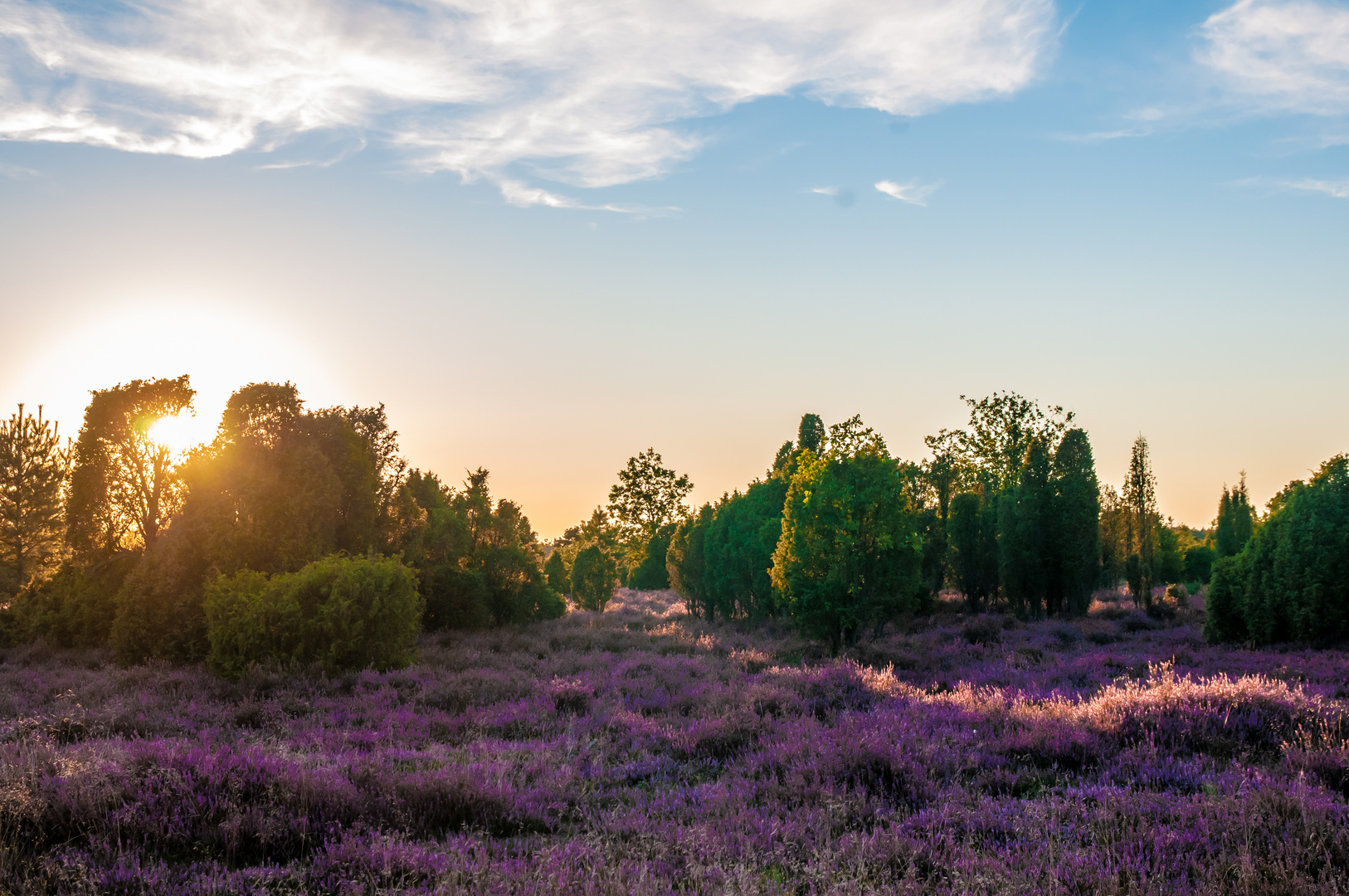 Wachholderheide