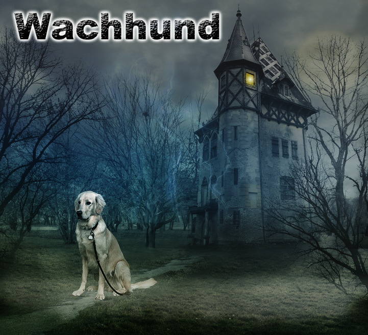 Wachhund