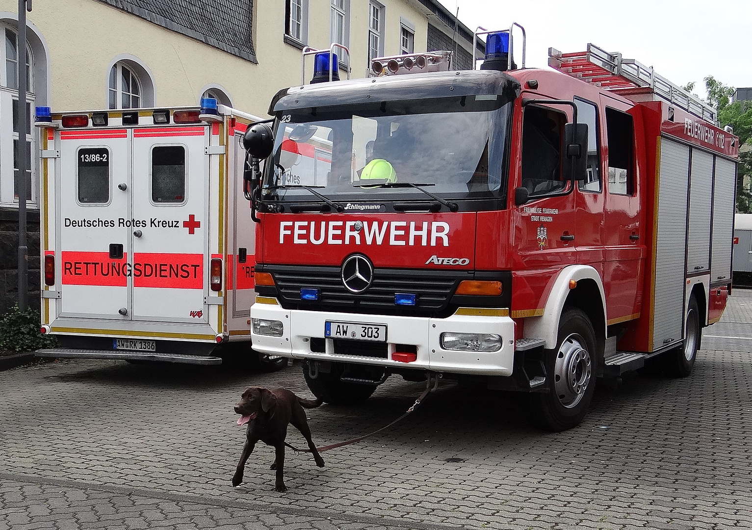 Wachhund oder zusätzliche HS (Hundestärke)