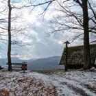 Wachkopf-Hütte, Tabarz, Thüringer Wald