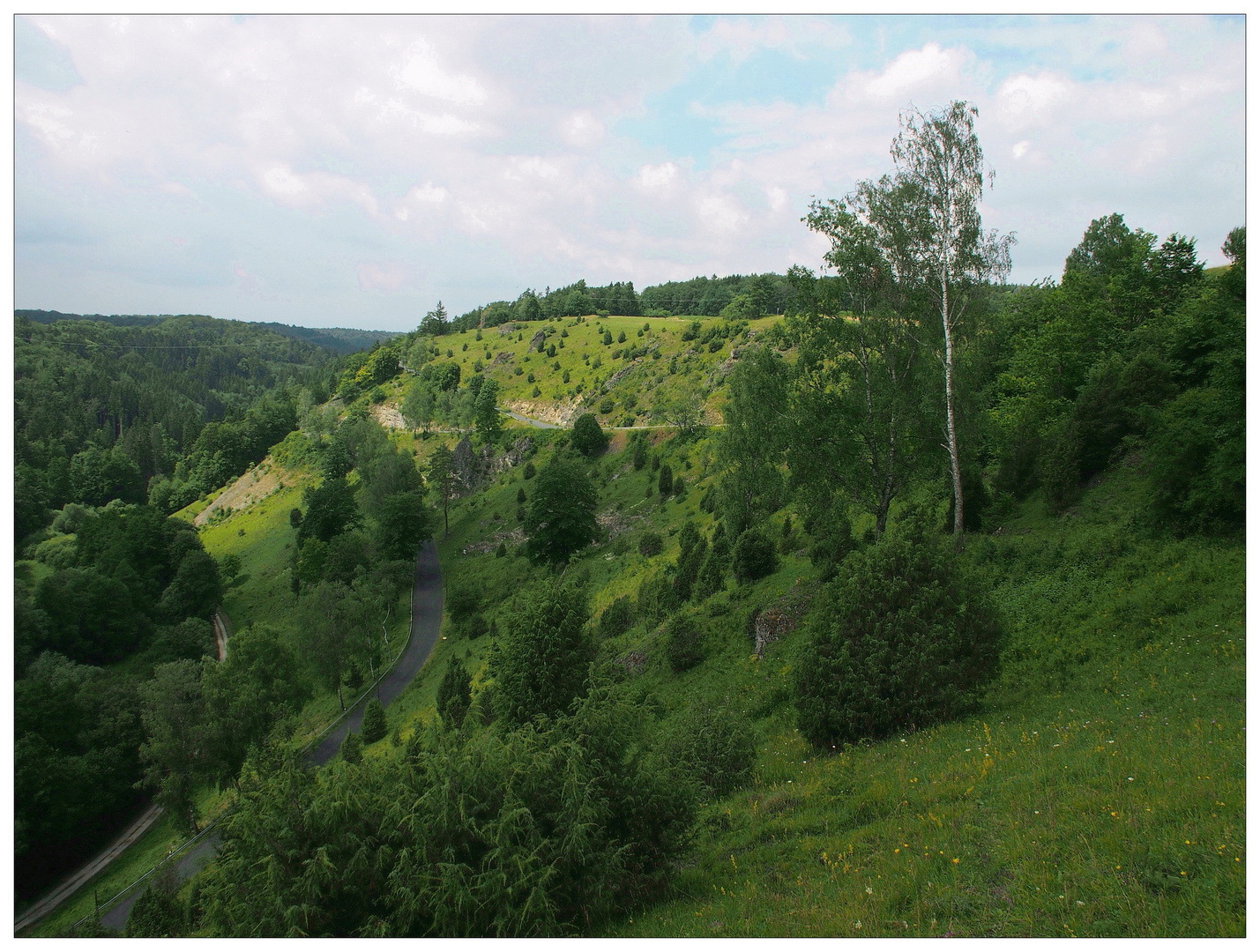 Wacholderhänge von Wallersberg