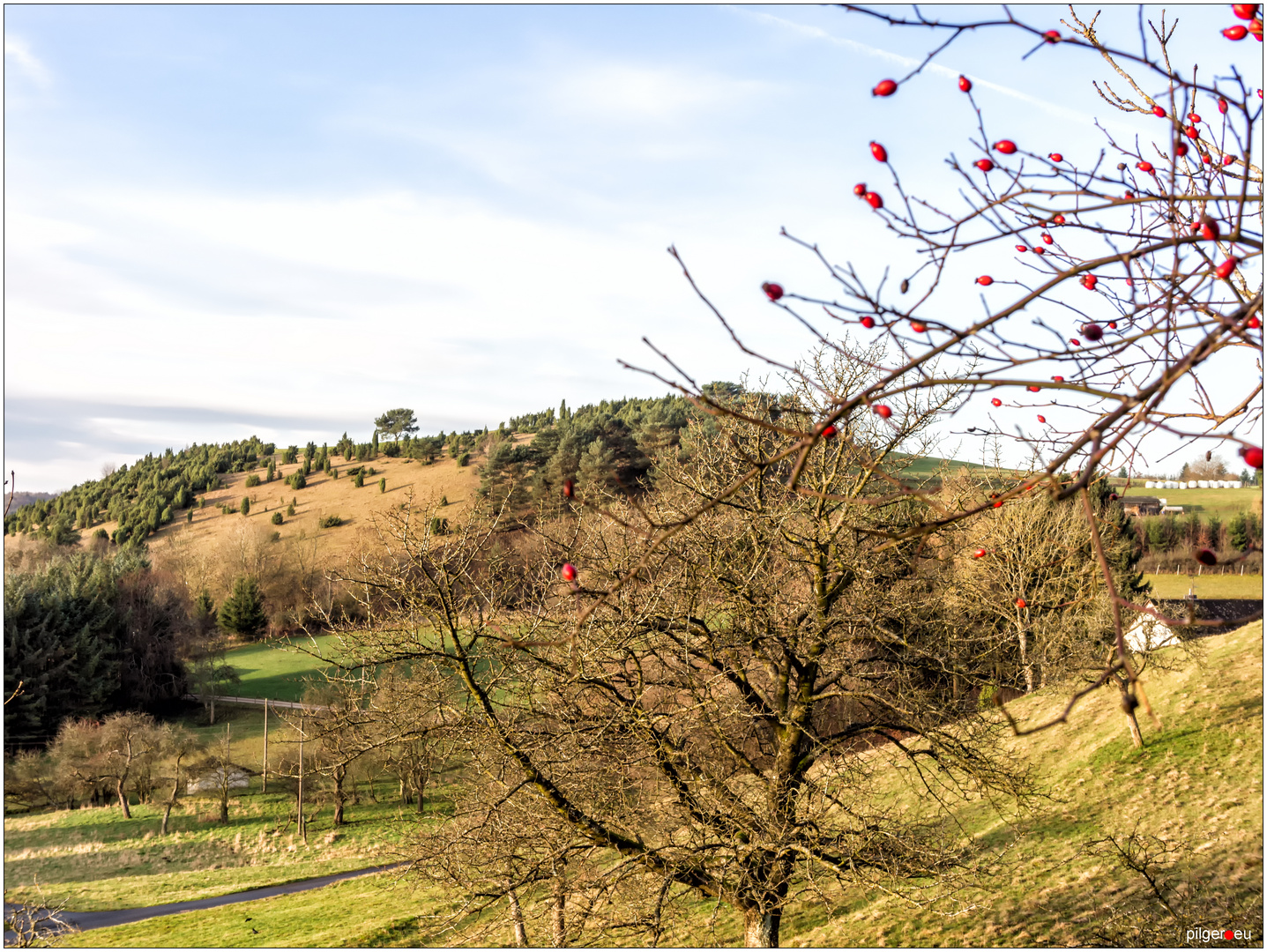 Wacholderheide Lampertstal - Weihnachten 2015