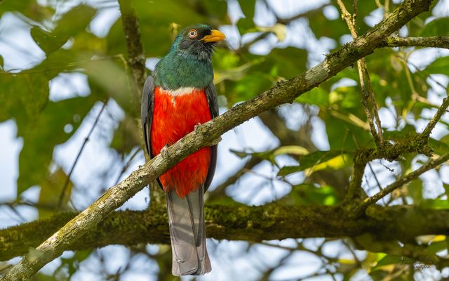 °°_Wachposten_°°