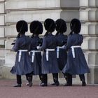 Wachposten vorm Buckingham Palace
