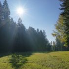 Wachseldornmoos bei Heimenschwand