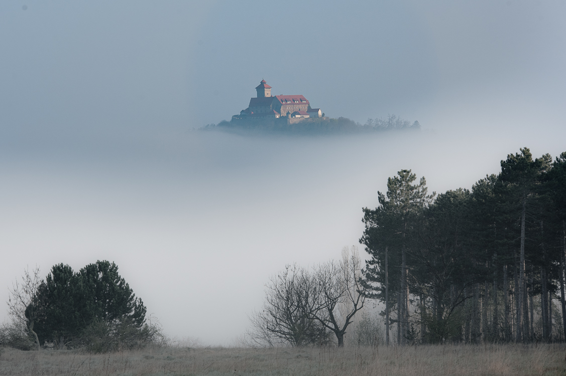 Wachsenburg im Nebel