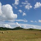 Wachsenburg in Thüringen