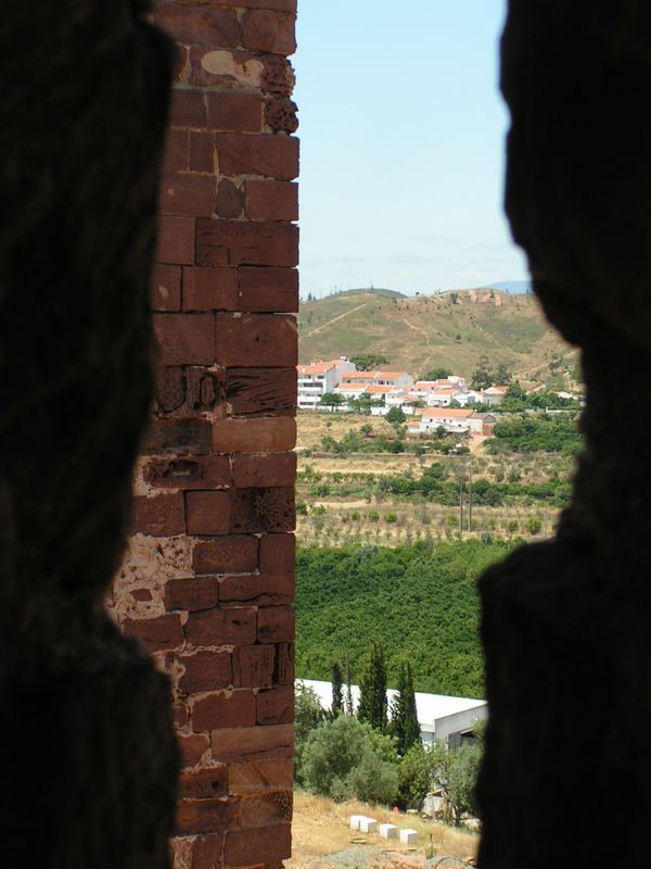 Wachsende Bewaldung in Portugal