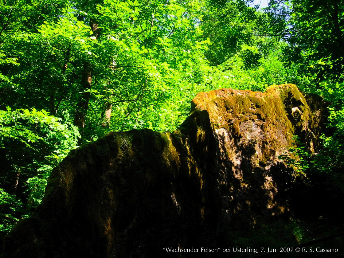 Wachsender Felsen bei Usterling