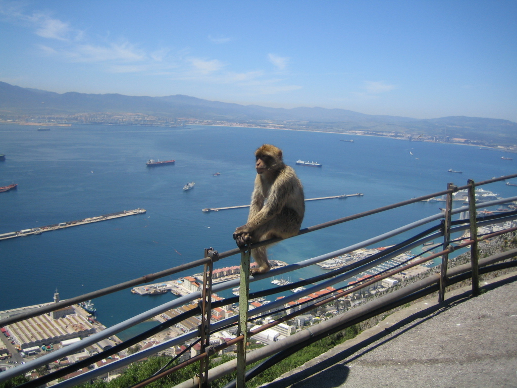 Wacht über Gibraltar