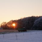 Wachtberger Ländchen - Traktor im Sonnenuntergang 1