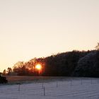 Wachtbger Ländchen - Traktor im Sonnenuntergang 2