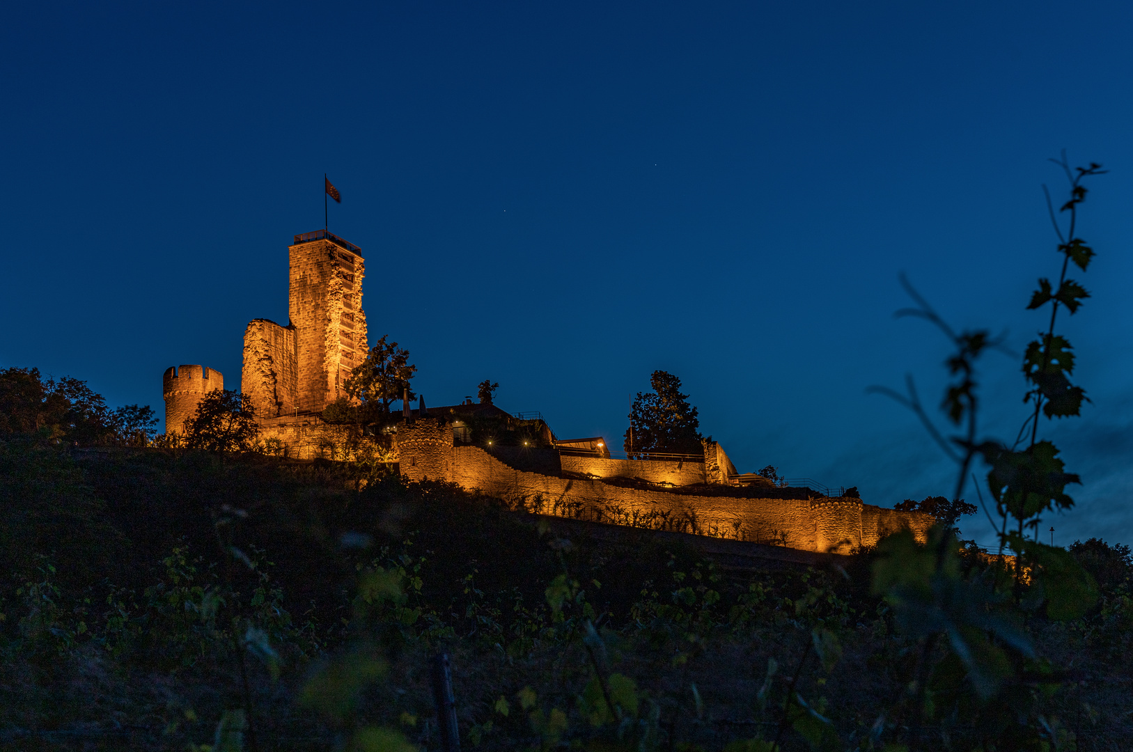 Wachtenburg bei Wachenheim  - HDR - 