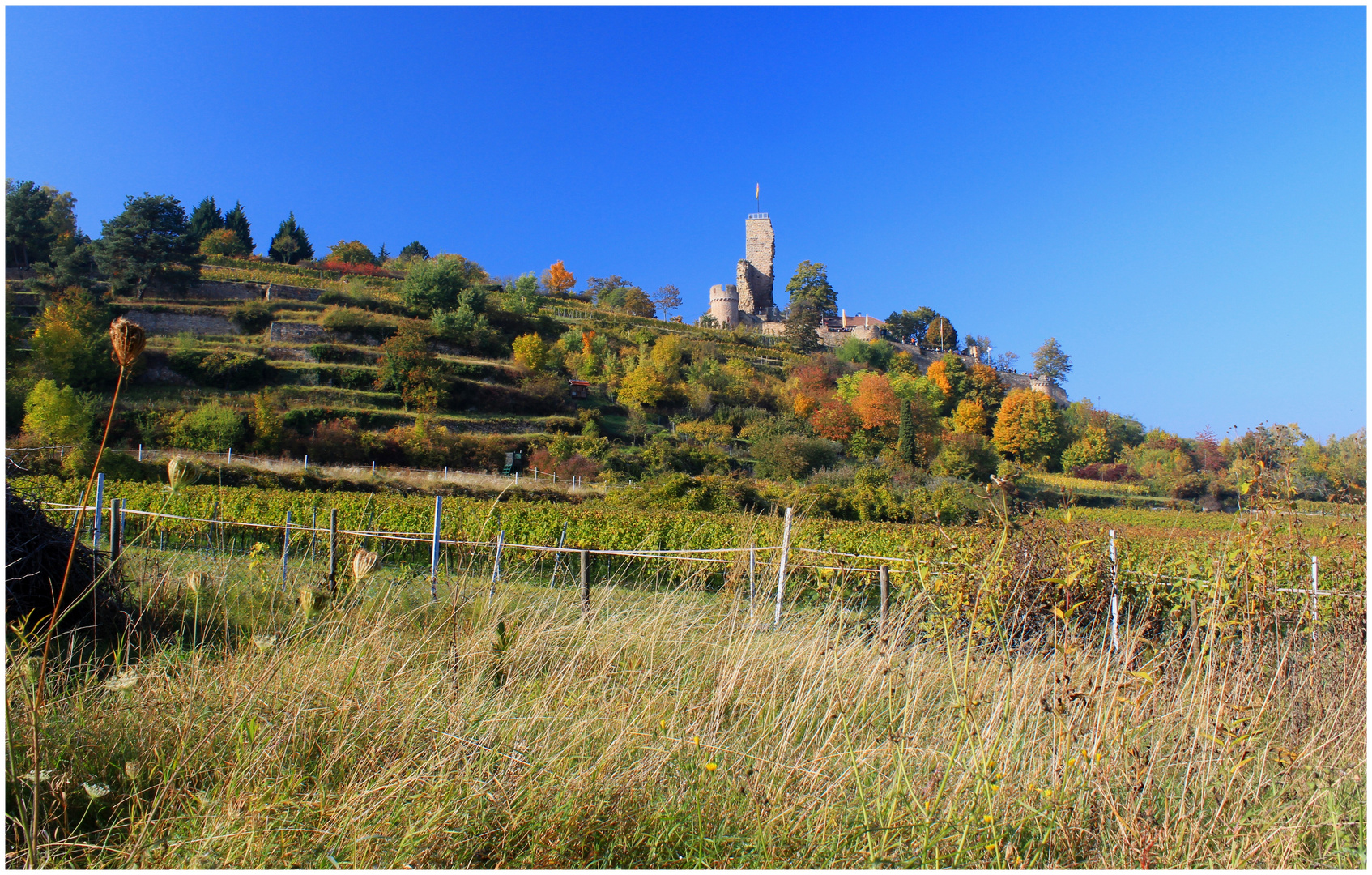 Wachtenburg im Herbst