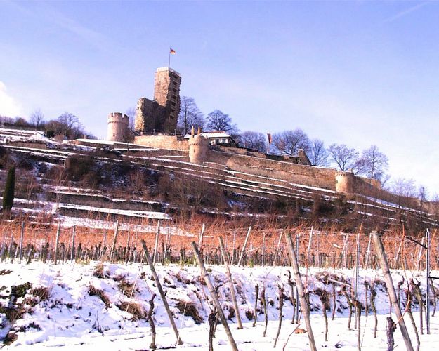 Wachtenburg in Wachenheim/Pfalz