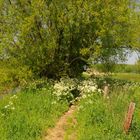 Wachtendonk - Wanderweg an der Niers