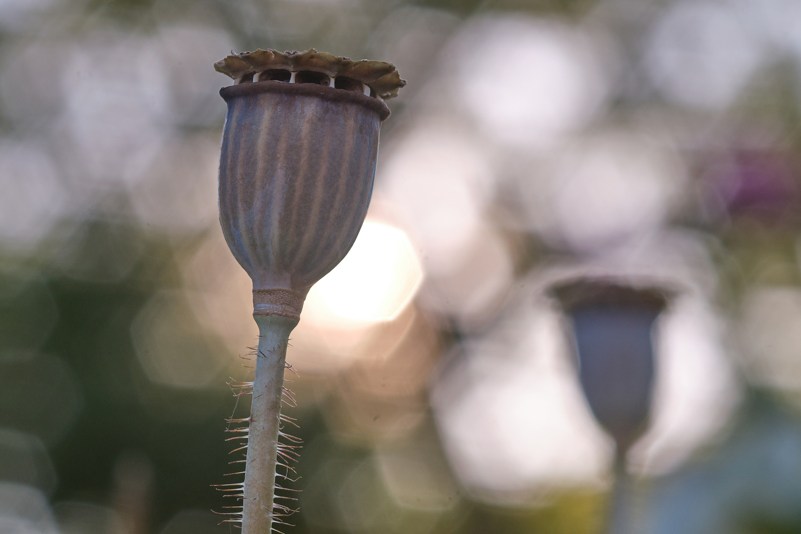 Wachturm im Garten