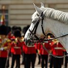 Wachwechsel vor dem Buckingham palace