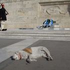 Wachwechsel vor dem Parlament in Athen