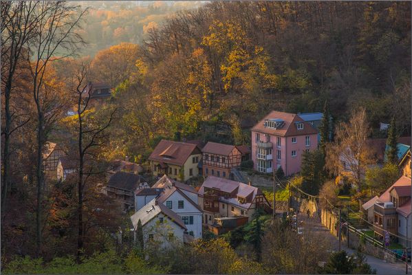 Wachwitz im November