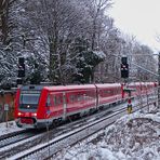 "Wackeldackel" im Schnee