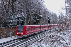 "Wackeldackel" im Schnee