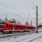 Wackeldackel mit Schneefahne