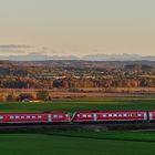 "Wackeldackel" vor Alpen-Panorama