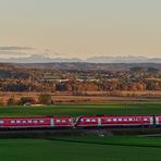 "Wackeldackel" vor Alpen-Panorama